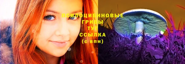 Альфа ПВП Абаза