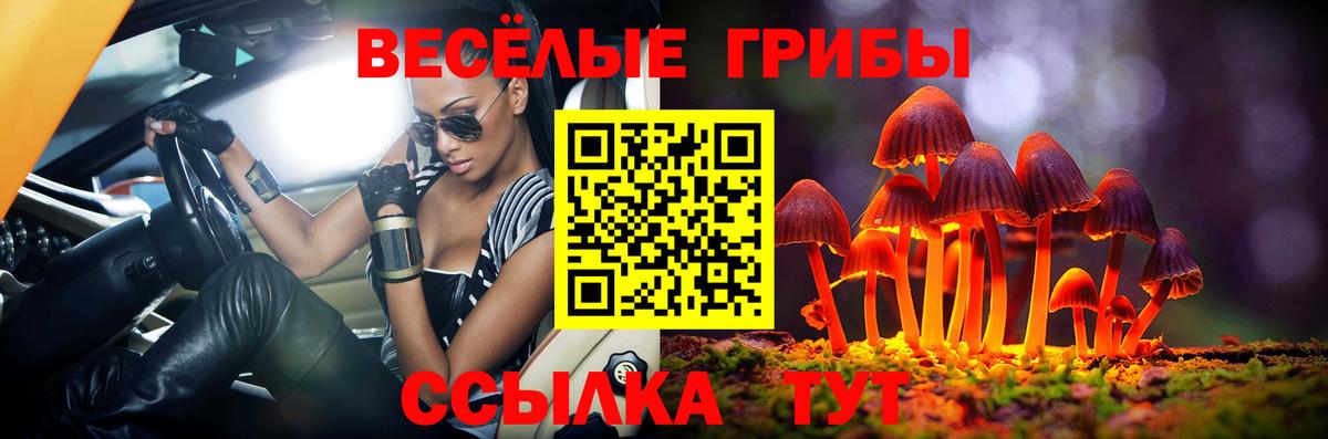 Кулебаки  Галлюциногенные грибы мухоморы  Вход с VPN 