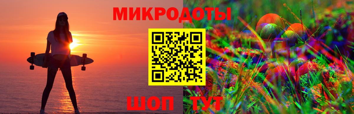 Галлюциногенные грибы Psilocybine cubensis Кулебаки