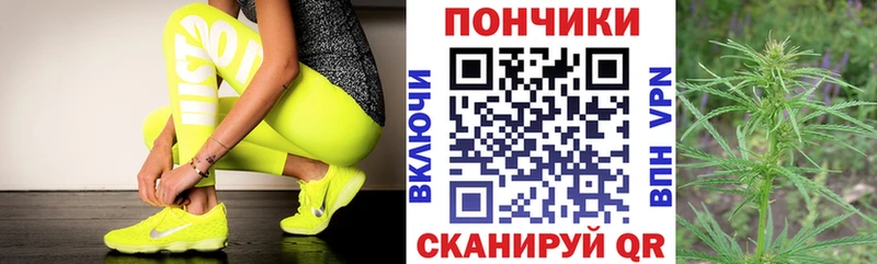 купить наркотик  Кулебаки  Бошки марихуана планчик 